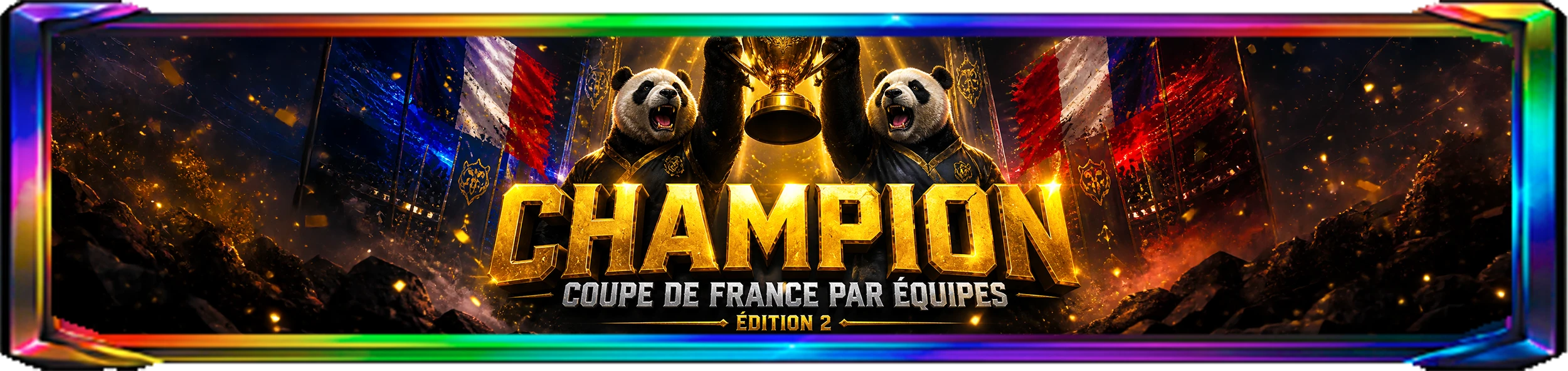 CHAMPION COUPE DE FRANCEE - Édition 2